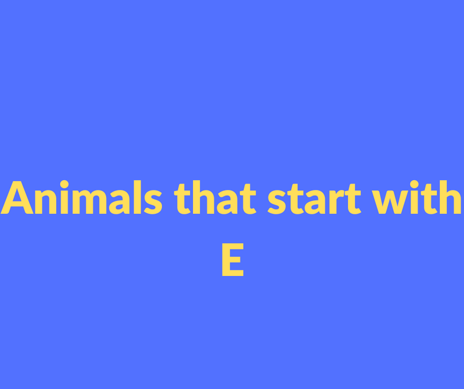 animals that start with E